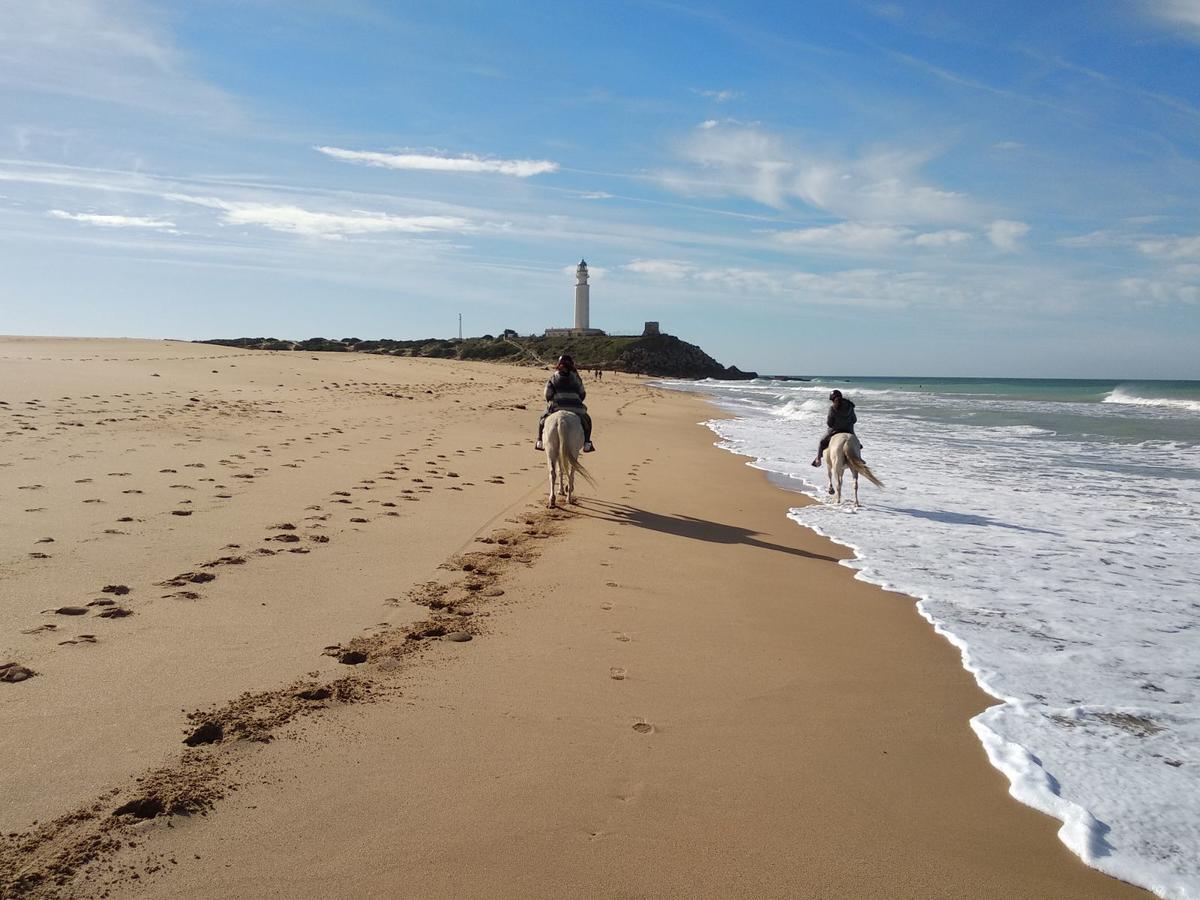 Viviendas Turisticas El Mero ซาโฮรา ภายนอก รูปภาพ